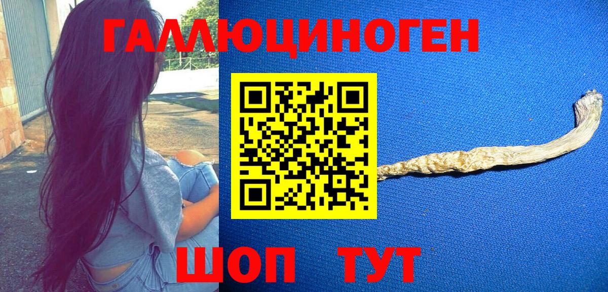 Галлюциногенные грибы мухоморы Советский