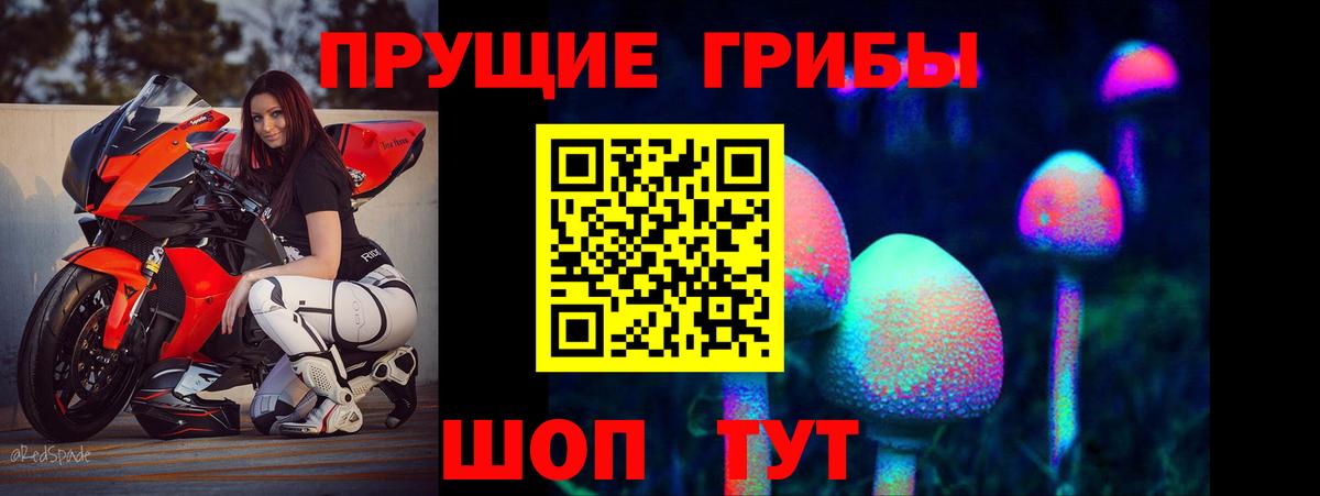 Галлюциногенные грибы Psilocybine cubensis  купить закладку  Вход с VPN  Советский  Псилоцибиновые грибы ЛСД 